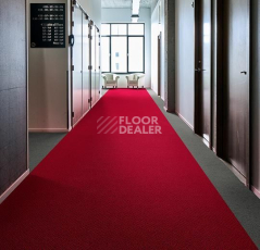 Forbo Flotex wonderlab 07 900262 Slate фото 2 | FLOORDEALER